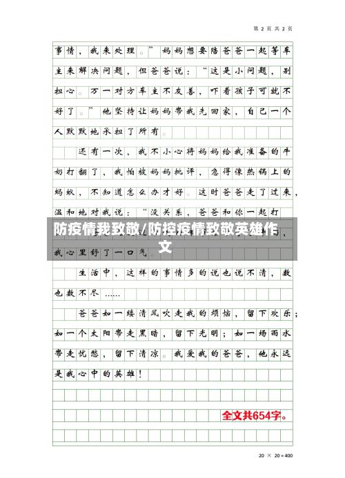 防疫情我致敬/防控疫情致敬英雄作文-第3张图片