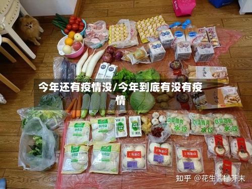 今年还有疫情没/今年到底有没有疫情-第2张图片