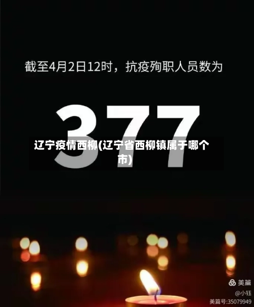 辽宁疫情西柳(辽宁省西柳镇属于哪个市)
