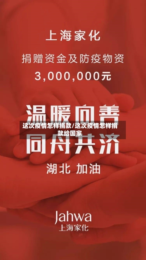 这次疫情怎样捐款/这次疫情怎样捐款给国家-第3张图片