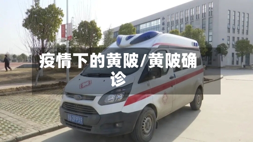 疫情下的黄陂/黄陂确诊-第3张图片