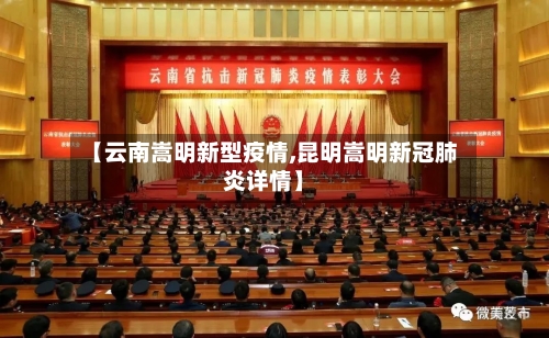 【云南嵩明新型疫情,昆明嵩明新冠肺炎详情】-第2张图片