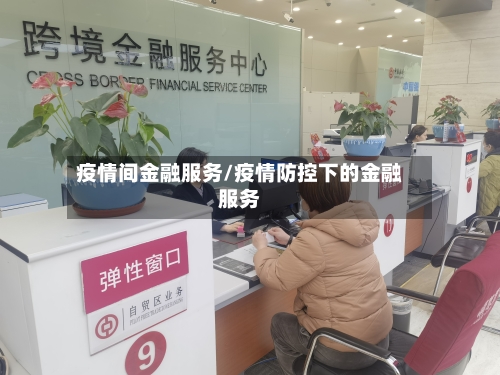 疫情间金融服务/疫情防控下的金融服务