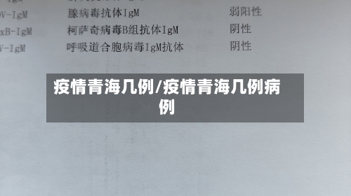 疫情青海几例/疫情青海几例病例-第2张图片