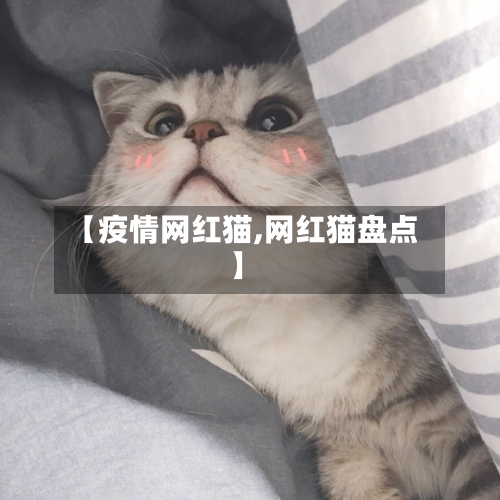 【疫情网红猫,网红猫盘点】-第2张图片