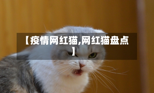 【疫情网红猫,网红猫盘点】