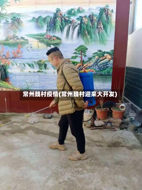 常州魏村疫情(常州魏村迎来大开发)-第2张图片