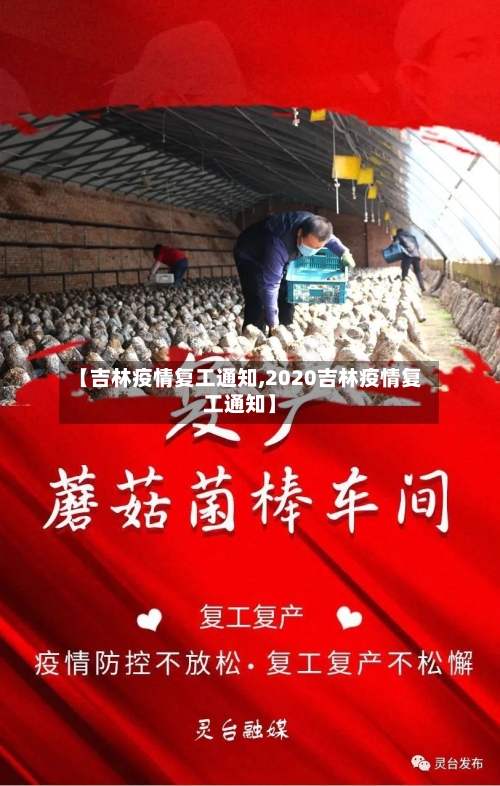【吉林疫情复工通知,2020吉林疫情复工通知】-第2张图片