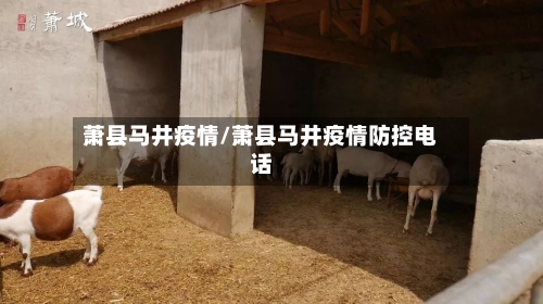 萧县马井疫情/萧县马井疫情防控电话-第2张图片