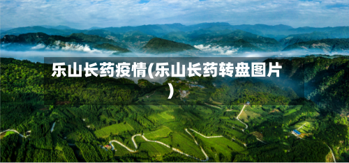 乐山长药疫情(乐山长药转盘图片)-第2张图片
