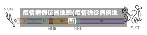 疫情病例位置地图(疫情确诊病例地图)