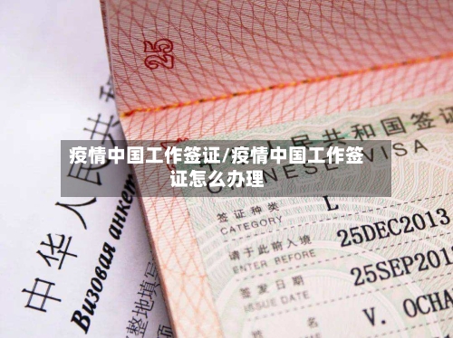 疫情中国工作签证/疫情中国工作签证怎么办理
