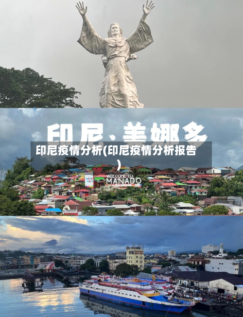 印尼疫情分析(印尼疫情分析报告)