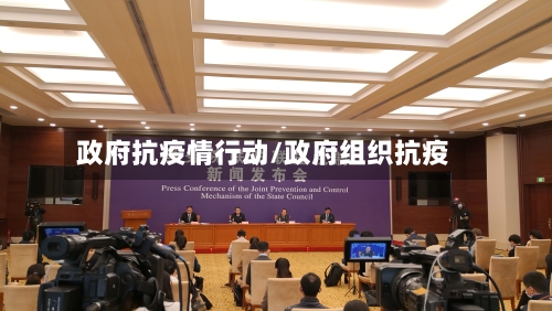 政府抗疫情行动/政府组织抗疫