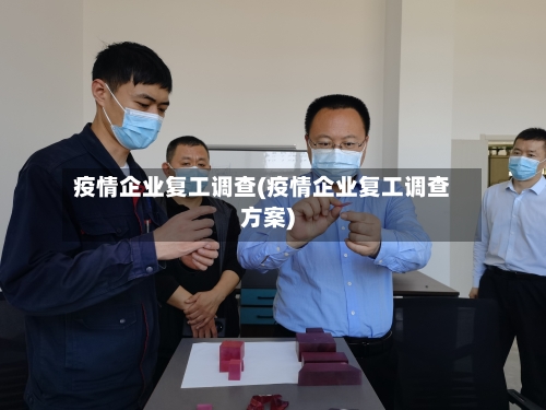 疫情企业复工调查(疫情企业复工调查方案)-第2张图片