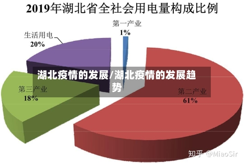 湖北疫情的发展/湖北疫情的发展趋势