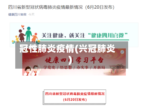 冠性肺炎疫情(兴冠肺炎)