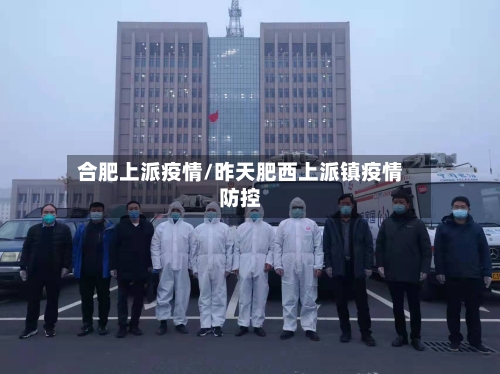 合肥上派疫情/昨天肥西上派镇疫情防控-第3张图片