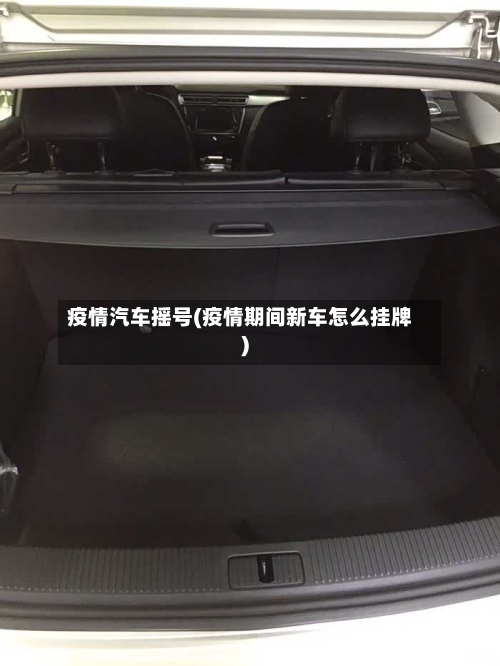 疫情汽车摇号(疫情期间新车怎么挂牌)-第2张图片