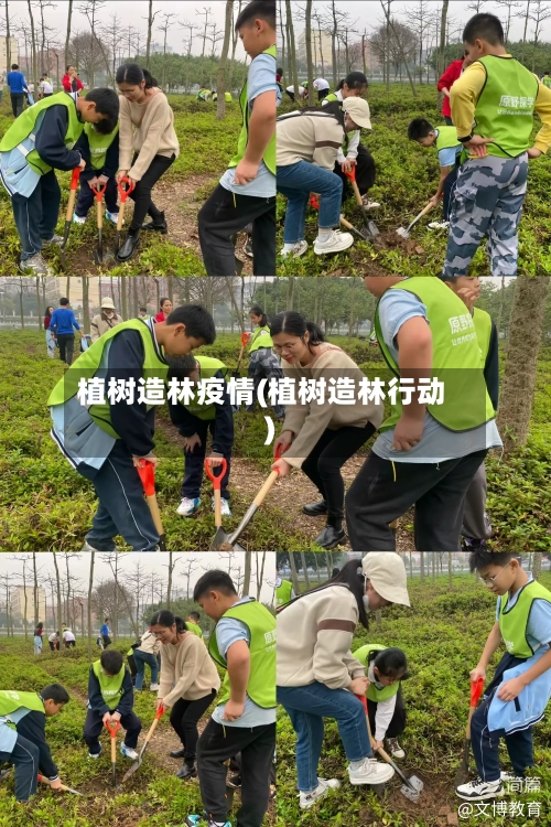植树造林疫情(植树造林行动)