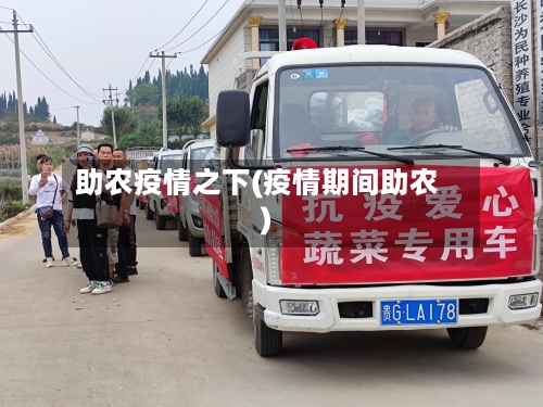 助农疫情之下(疫情期间助农)