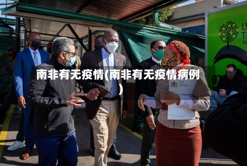 南非有无疫情(南非有无疫情病例)-第2张图片