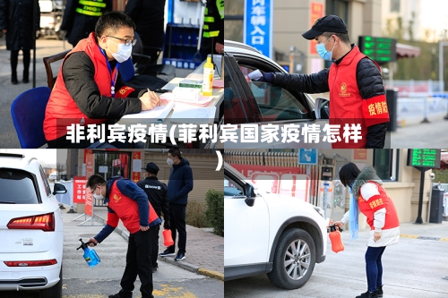非利宾疫情(菲利宾国家疫情怎样)-第2张图片