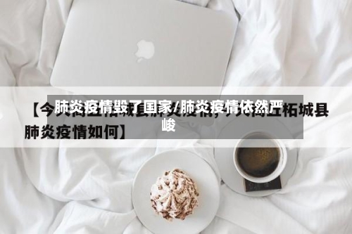 肺炎疫情毁了国家/肺炎疫情依然严峻