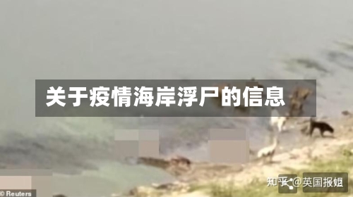 关于疫情海岸浮尸的信息-第3张图片