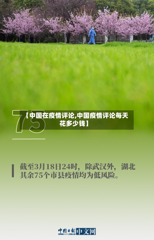 【中国在疫情评论,中国疫情评论每天花多少钱】-第3张图片