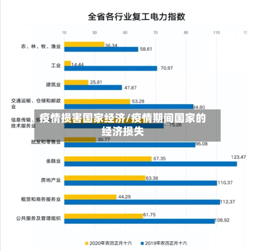 疫情损害国家经济/疫情期间国家的经济损失