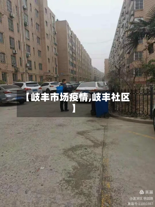 【岐丰市场疫情,岐丰社区】