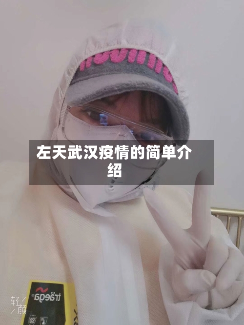 左天武汉疫情的简单介绍
