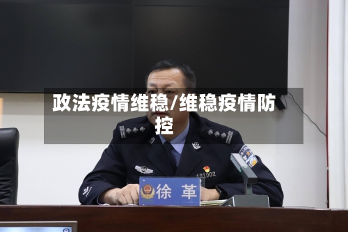 政法疫情维稳/维稳疫情防控