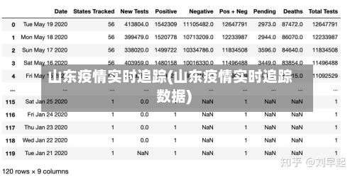 山东疫情实时追踪(山东疫情实时追踪数据)-第3张图片