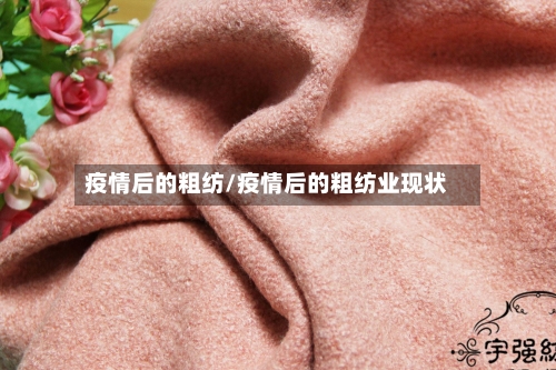 疫情后的粗纺/疫情后的粗纺业现状-第3张图片