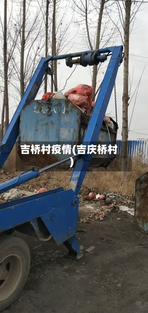 吉桥村疫情(吉庆桥村)