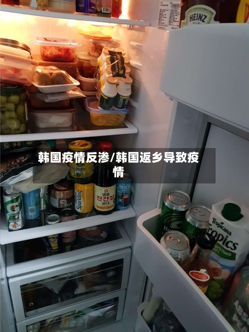 韩国疫情反渗/韩国返乡导致疫情-第3张图片