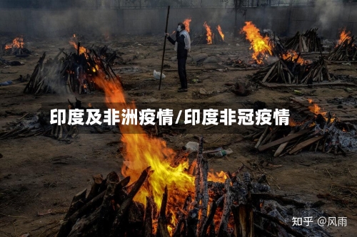 印度及非洲疫情/印度非冠疫情-第2张图片