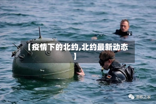 【疫情下的北约,北约最新动态】-第3张图片