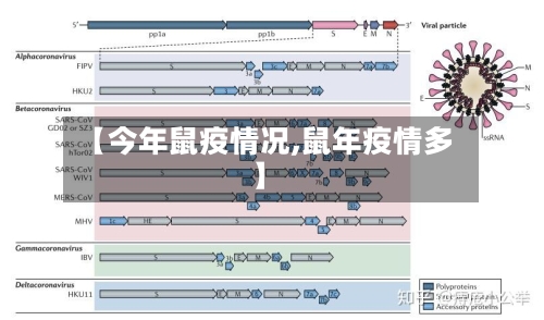 【今年鼠疫情况,鼠年疫情多】-第2张图片