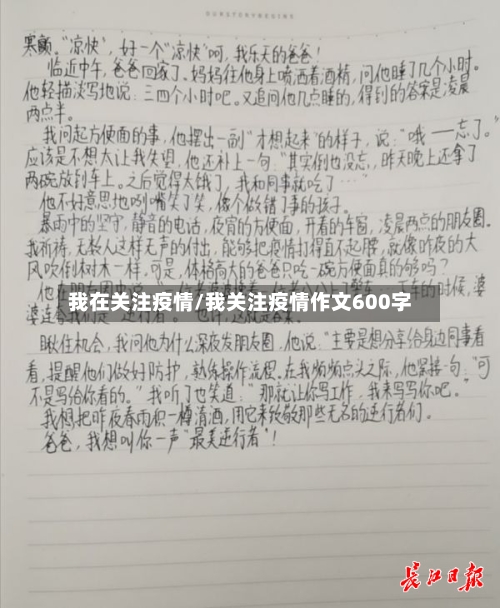 我在关注疫情/我关注疫情作文600字-第2张图片