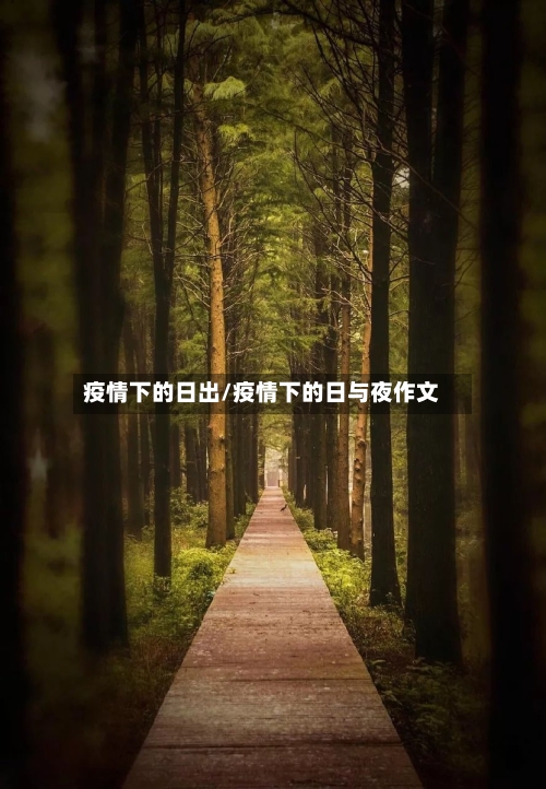 疫情下的日出/疫情下的日与夜作文