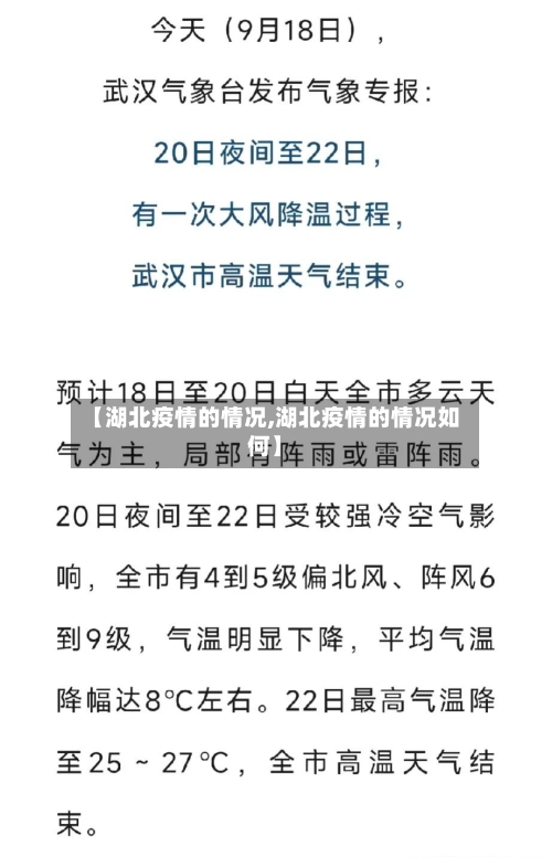 【湖北疫情的情况,湖北疫情的情况如何】-第2张图片