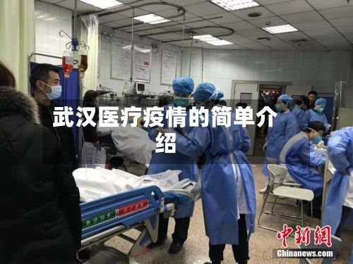 武汉医疗疫情的简单介绍