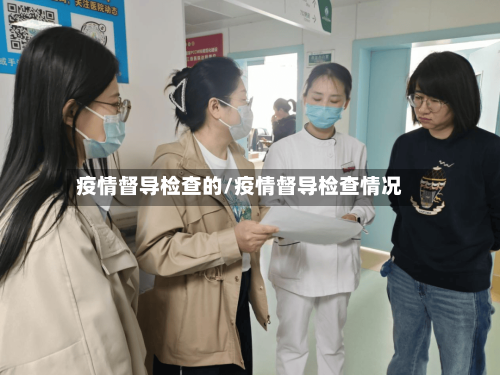 疫情督导检查的/疫情督导检查情况-第2张图片