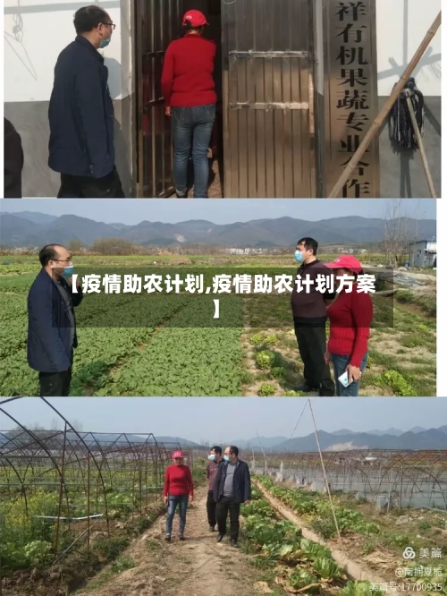 【疫情助农计划,疫情助农计划方案】
