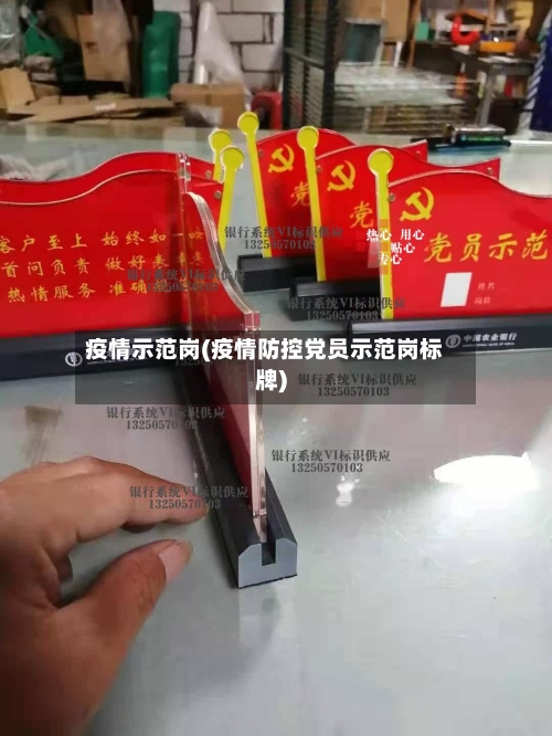 疫情示范岗(疫情防控党员示范岗标牌)-第2张图片
