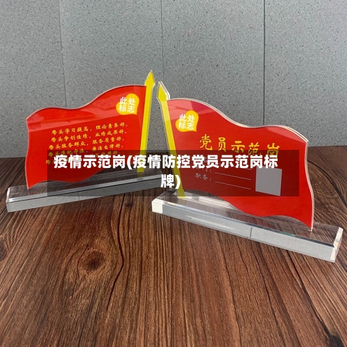 疫情示范岗(疫情防控党员示范岗标牌)