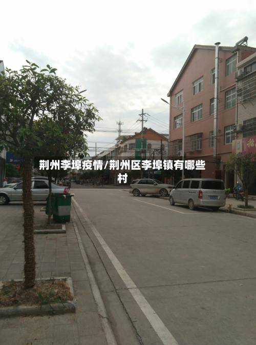 荆州李埠疫情/荆州区李埠镇有哪些村
